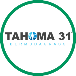 Tahoma 31